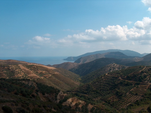 פנויים פנויות בכרתים